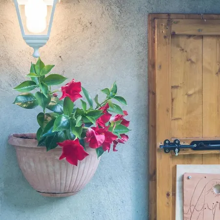 Сasa de vacaciones Volta Casa